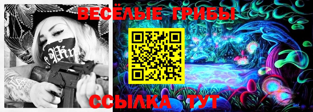 Железногорск  Галлюциногенные грибы MAGIC MUSHROOMS  Вход с VPN  Псилоцибиновые грибы прущие грибы 