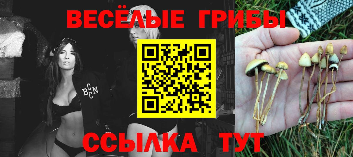 Псилоцибиновые грибы прущие грибы Железногорск